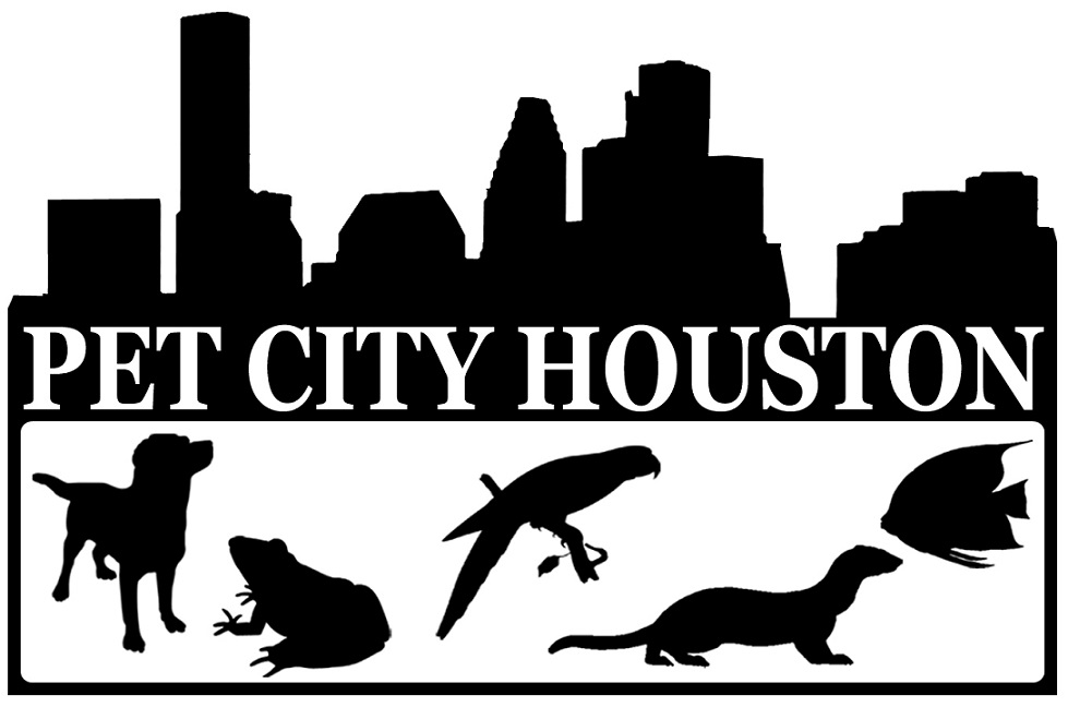 Pet City Houston